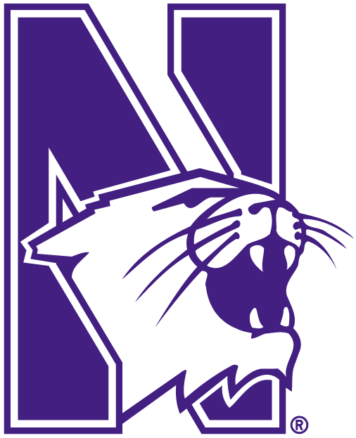 Northwestern Wildcats 1981-Pres Alternate Logo iron on transfers for T-shirts